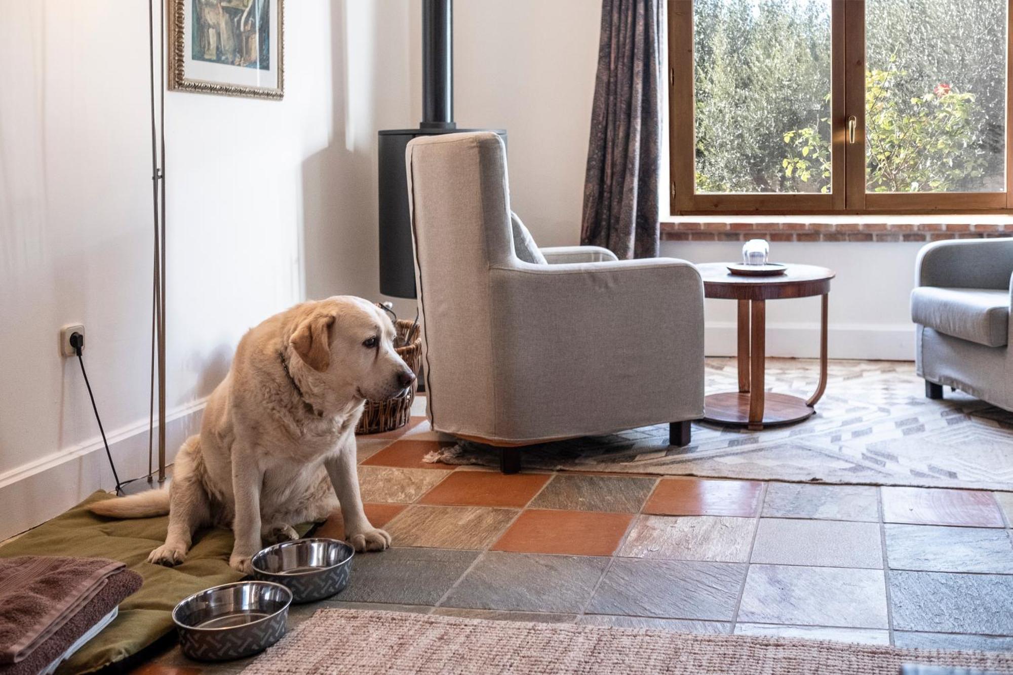 La Torre Del Visco - Relais & Chateaux Fuentespalda ภายนอก รูปภาพ